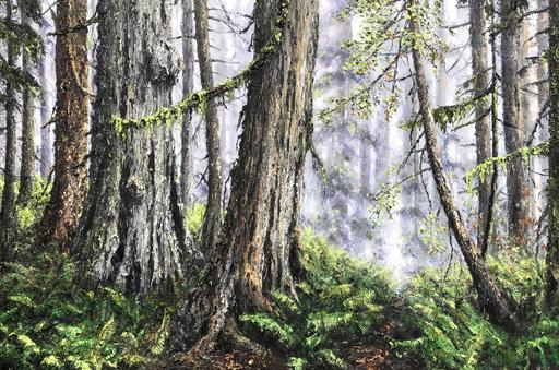 Old Forest Friends