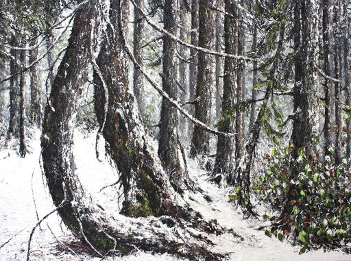 Silence of the Forest