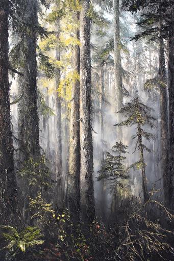 Emerging Light