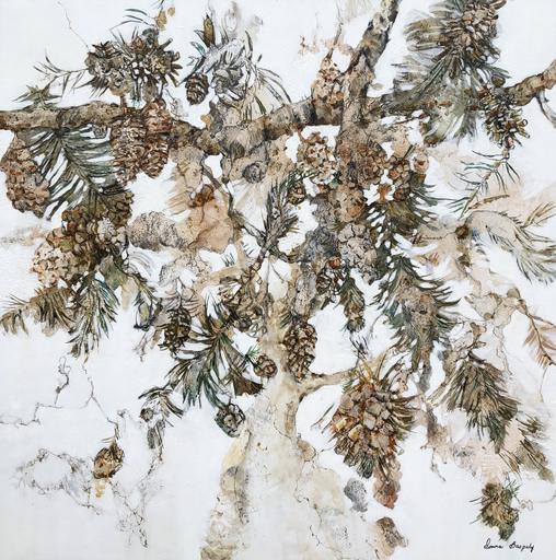 Pinecones - Protector of the Seed