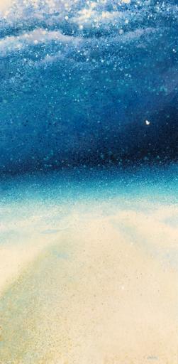 Sunlit Ocean Floor
