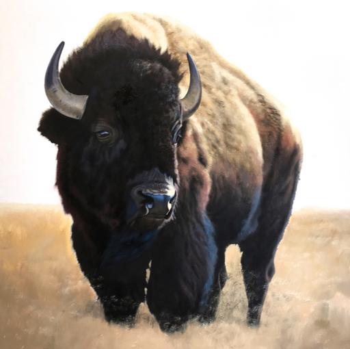 Buffalo Bill