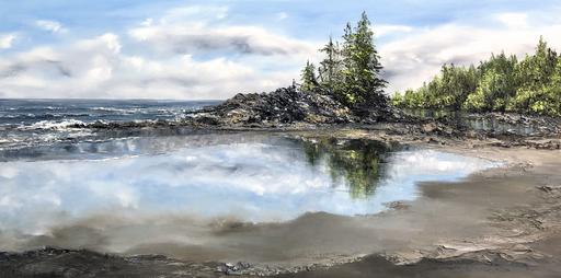 Tofino Reflected