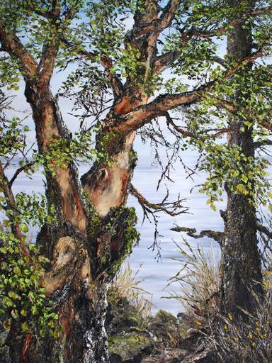 The Arbutus Dance
