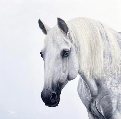 White Stallion 