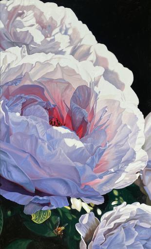 Peony in Bloom 