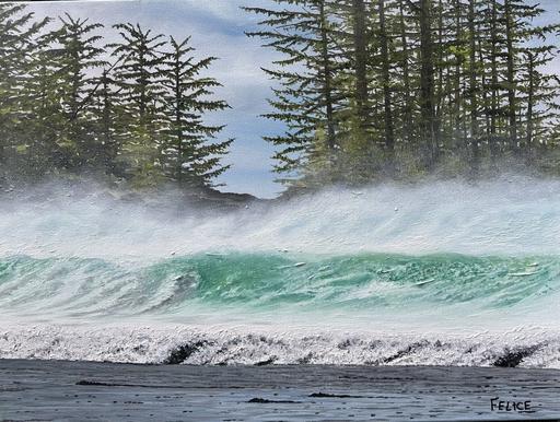 Tofino Surf 